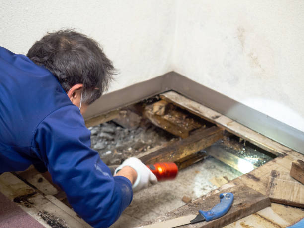 Best Crawl Space Mold Removal  in Mount Pleasant, IA