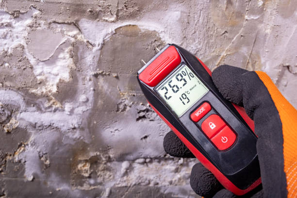 Best Toxic Mold Removal  in Mount Pleasant, IA