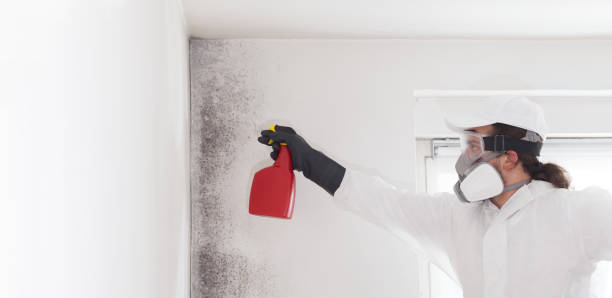 Crawl Space Mold Removal in Mount Pleasant, IA
